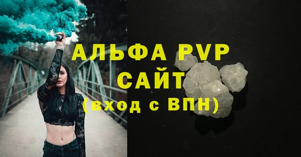 ПСИЛОЦИБИНОВЫЕ ГРИБЫ Иннополис