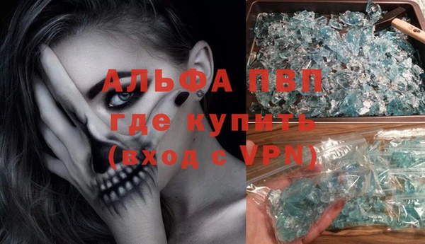 ПСИЛОЦИБИНОВЫЕ ГРИБЫ Иннополис