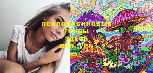 ПСИЛОЦИБИНОВЫЕ ГРИБЫ Иннополис