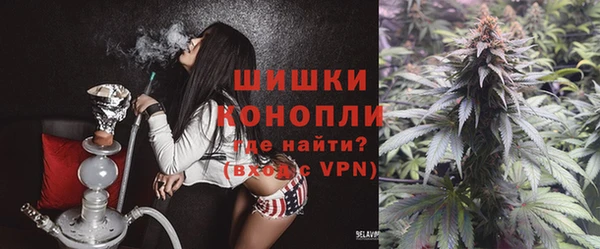 прущая мука Инта