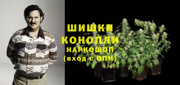 a pvp Инсар