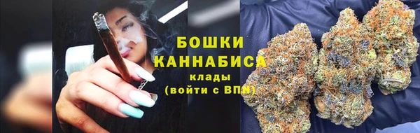 ПСИЛОЦИБИНОВЫЕ ГРИБЫ Иннополис