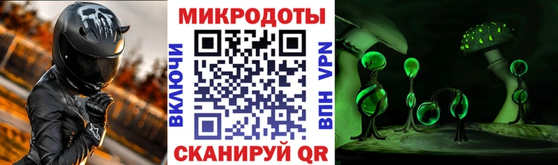 Купить  Урус-Мартан  Псилоцибиновые грибы Cubensis 